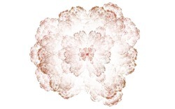 2014 04 26 Afternoon From Blanks 22-white.jpg